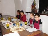 DSCN2093 (Kopiowanie)