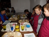 DSCN2100 (Kopiowanie)