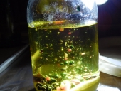 DSCN2109 (Kopiowanie)