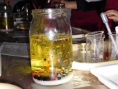 DSCN2113 (Kopiowanie)