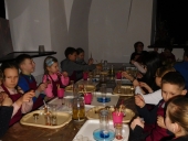 DSCN2116 (Kopiowanie)