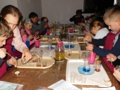 DSCN2117 (Kopiowanie)