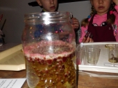 DSCN2118 (Kopiowanie)