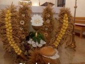 68751623_800050397058161_5877085531036188672_n-Kopiowanie