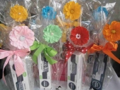 P3071800 (Kopiowanie)