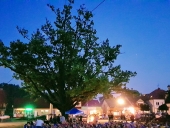 kino-mobilne-1-Kopiowanie