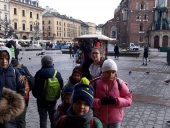 received_502787547284456