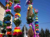 100_3204 (Kopiowanie)