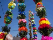 100_3208 (Kopiowanie)