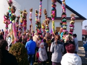 DSC_0015 (Kopiowanie)