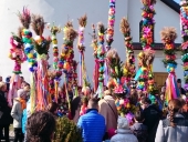 DSC_0017 (Kopiowanie)