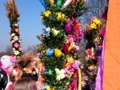 DSC_0031 (Kopiowanie)