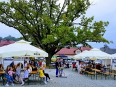 Letni-Koncert-2019-Łapanów-26