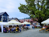 Letni-Koncert-2019-Łapanów-28