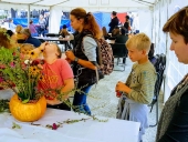 Letni-Koncert-2019-Łapanów-29