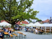 Letni-Koncert-2019-Łapanów-5