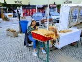 Letni-Koncert-2019-Łapanów-6