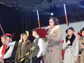 DSC_0257 (Kopiowanie)