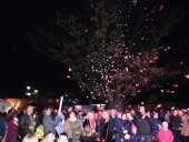 DSC_0260 (Kopiowanie)