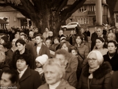 IMG_9264-1 (Kopiowanie)