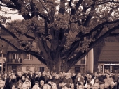 IMG_9271-32 (Kopiowanie)