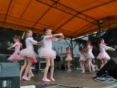 1_DSC_0024-Kopiowanie