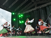 DSC_011 (Kopiowanie)