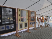 DSC_022 (Kopiowanie)