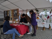 DSC_023 (Kopiowanie)