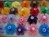 100_3460 (Kopiowanie)