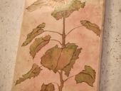 wernisaż_łapanów_2018 (3) (Kopiowanie)