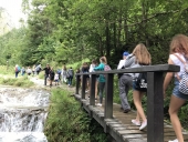 IMG_1342 (Kopiowanie)