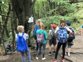 IMG_1453 (Kopiowanie)