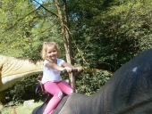 OLYMPUS DIGITAL CAMERA