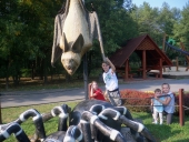 100_3545 (Kopiowanie)